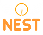Nest Driving School Virginia